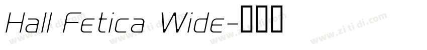 Hall Fetica Wide字体转换